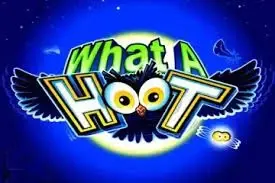 What a Hoot